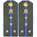 Погоны полевые КАПИТАН, Войск НКВД, обр. 1943г.